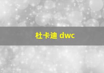 杜卡迪 dwc